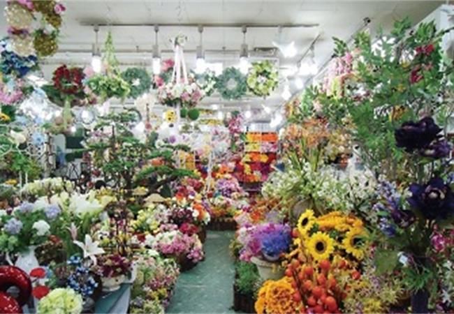 合肥花店“裝修”和“裝飾”應(yīng)該注意些什么