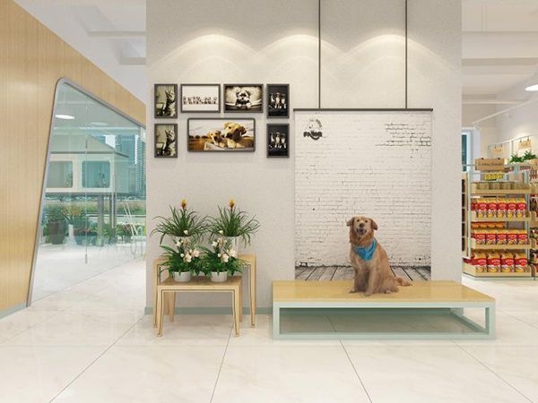合肥寵物店裝修攻略，寵物店裝修應該注意什么
