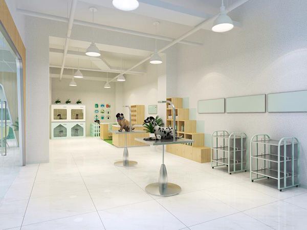 合肥寵物店裝修風格有哪幾種應該如何裝修怎么劃分功能區(qū)