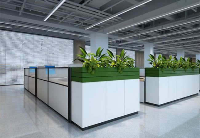 合肥辦公室裝修為何要在辦公室里擺放綠色植物？